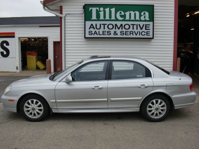 2003 Hyundai Sonata Elk Conversion Van