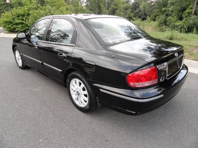 2003 Hyundai Sonata Elk Conversion Van