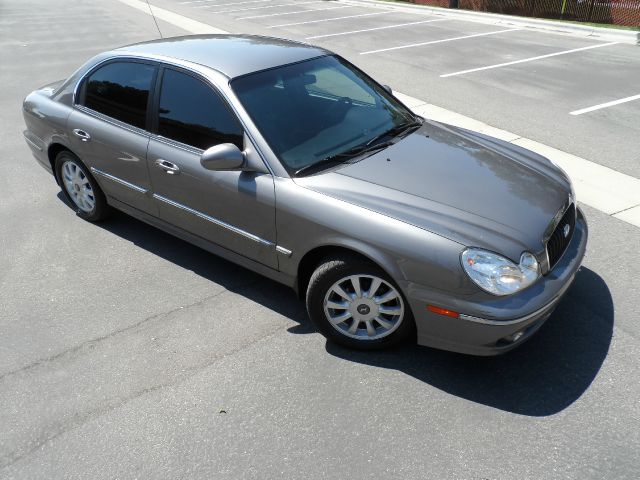 2003 Hyundai Sonata Elk Conversion Van