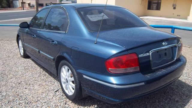 2003 Hyundai Sonata Elk Conversion Van