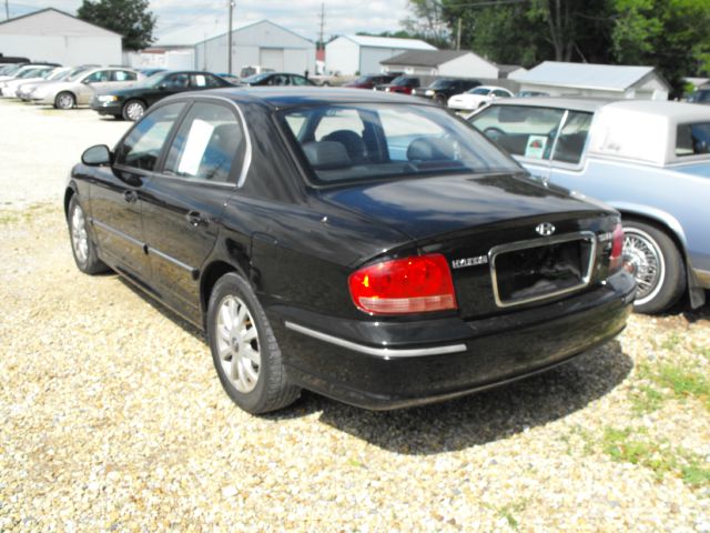 2004 Hyundai Sonata Elk Conversion Van