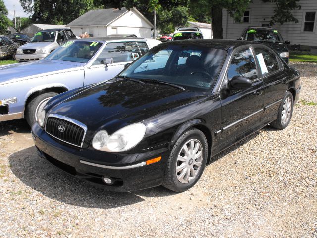 2004 Hyundai Sonata Elk Conversion Van