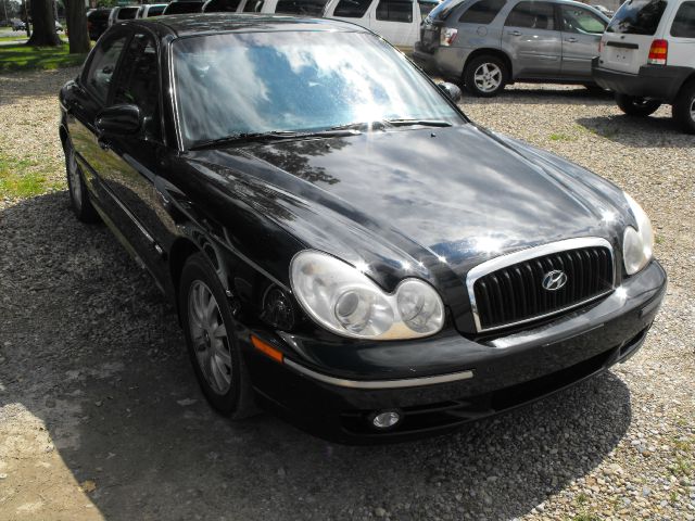 2004 Hyundai Sonata Elk Conversion Van