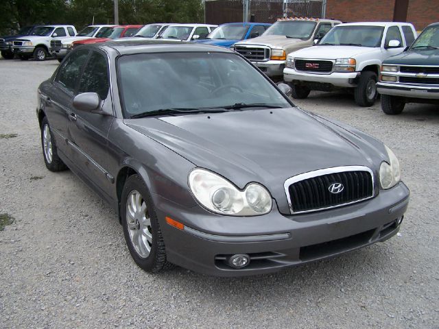 2004 Hyundai Sonata Elk Conversion Van