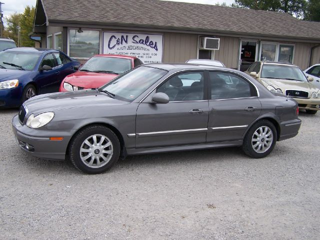 2004 Hyundai Sonata Elk Conversion Van