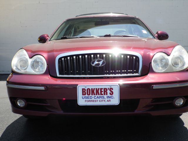 2004 Hyundai Sonata Elk Conversion Van