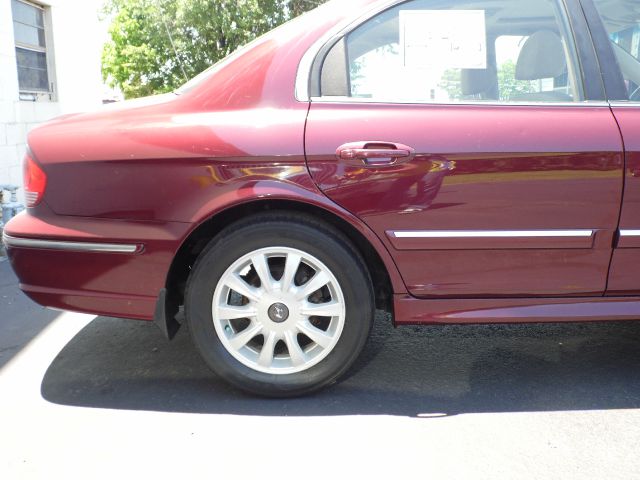 2004 Hyundai Sonata Elk Conversion Van