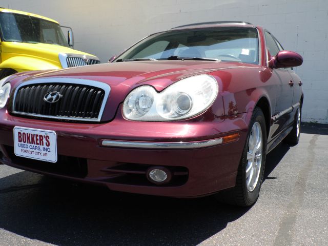 2004 Hyundai Sonata Elk Conversion Van