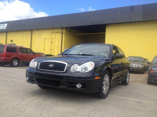 2004 Hyundai Sonata Elk Conversion Van