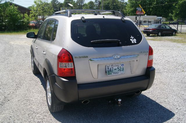 2005 Hyundai Tucson Elk Conversion Van