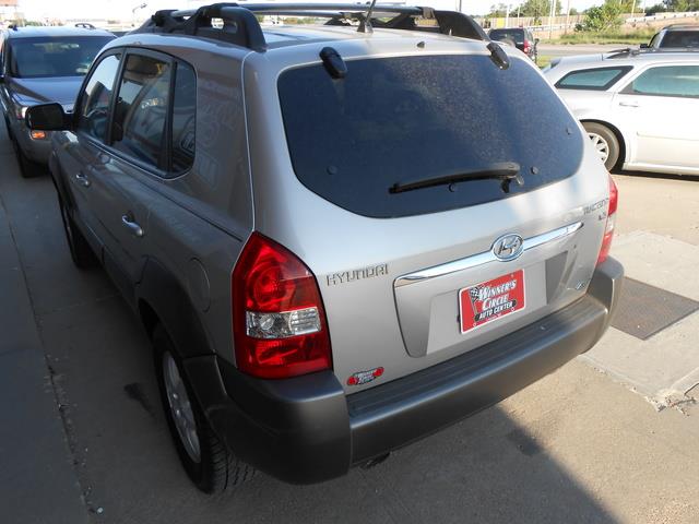 2005 Hyundai Tucson Elk Conversion Van