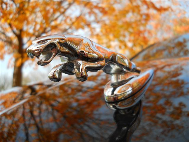 2003 JAGUAR X-Type Unknown