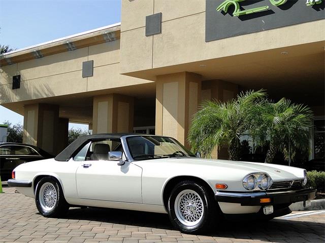 1991 JAGUAR XJ8 Locallyowned
