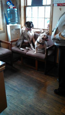 1999 Jeep Grand Cherokee Base W/nav.sys