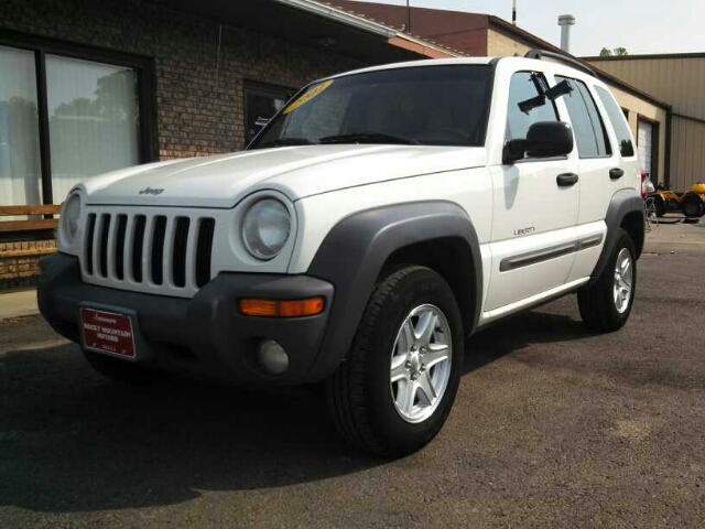 2002 Jeep Liberty Elk Conversion Van