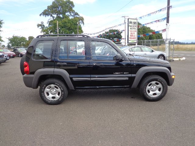 2002 Jeep Liberty GSX