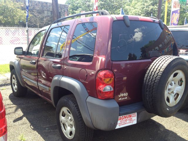2002 Jeep Liberty Elk Conversion Van