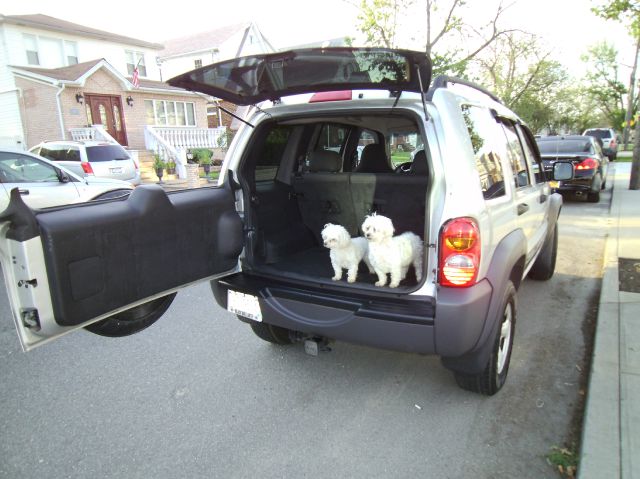 2002 Jeep Liberty Elk Conversion Van