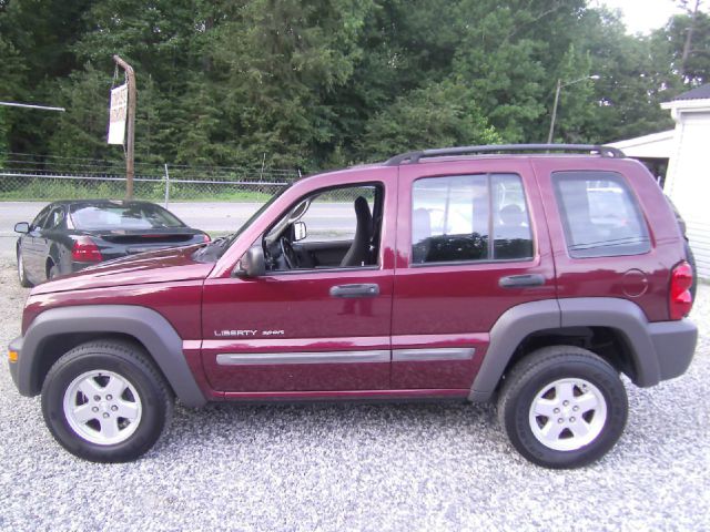 2002 Jeep Liberty Elk Conversion Van