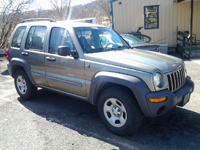 2003 Jeep Liberty Elk Conversion Van