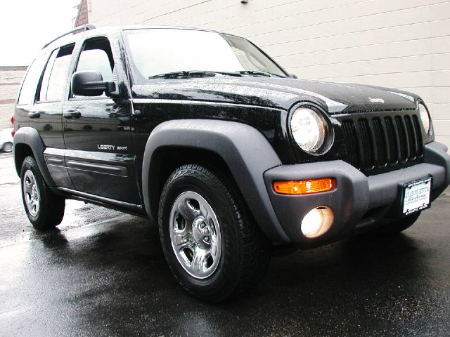 2003 Jeep Liberty Elk Conversion Van