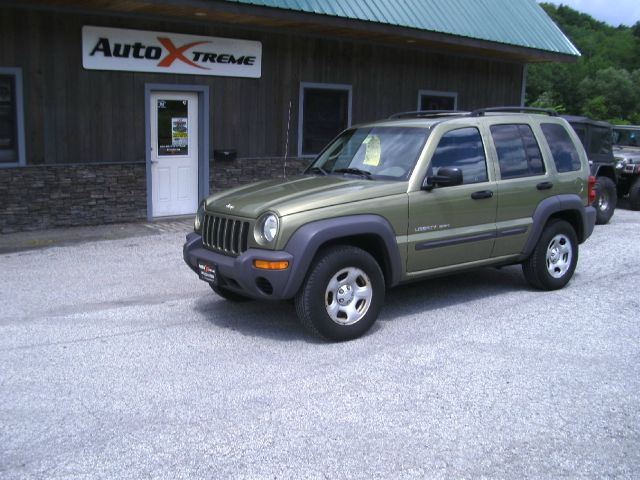 2003 Jeep Liberty Elk Conversion Van