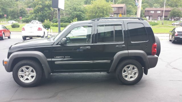 2003 Jeep Liberty Elk Conversion Van