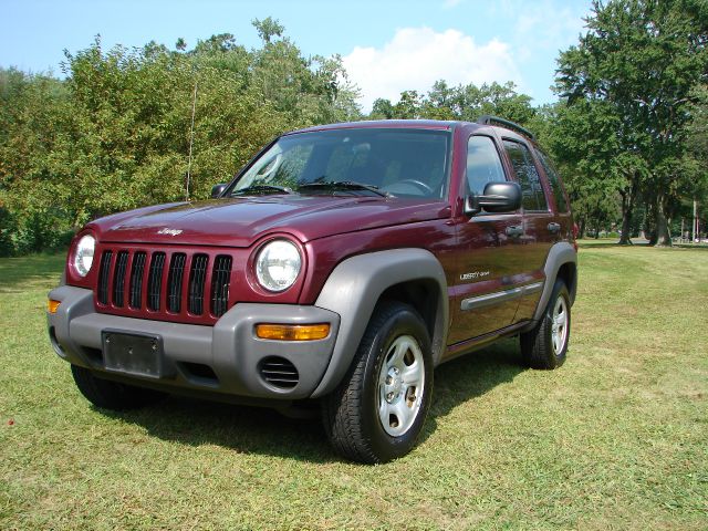 2003 Jeep Liberty Elk Conversion Van