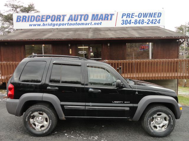 2003 Jeep Liberty Elk Conversion Van