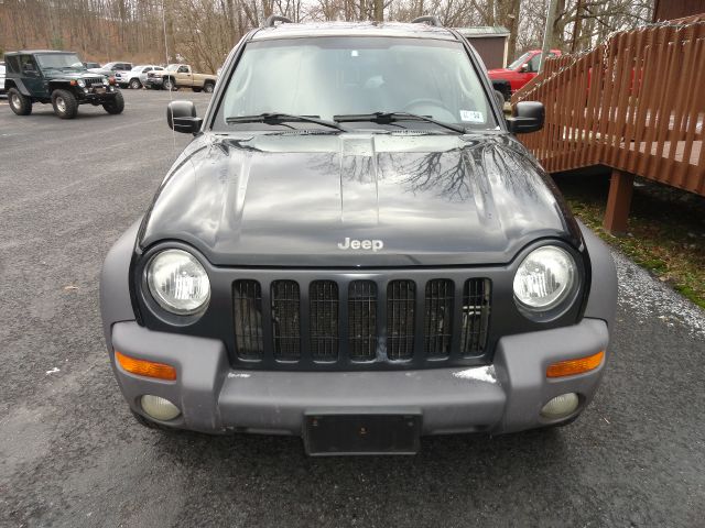 2003 Jeep Liberty Elk Conversion Van