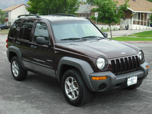 2004 Jeep Liberty Elk Conversion Van