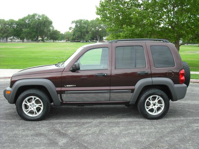 2004 Jeep Liberty Elk Conversion Van