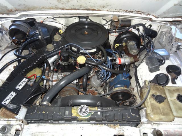 1980 Jeep Wagoneer Handicap