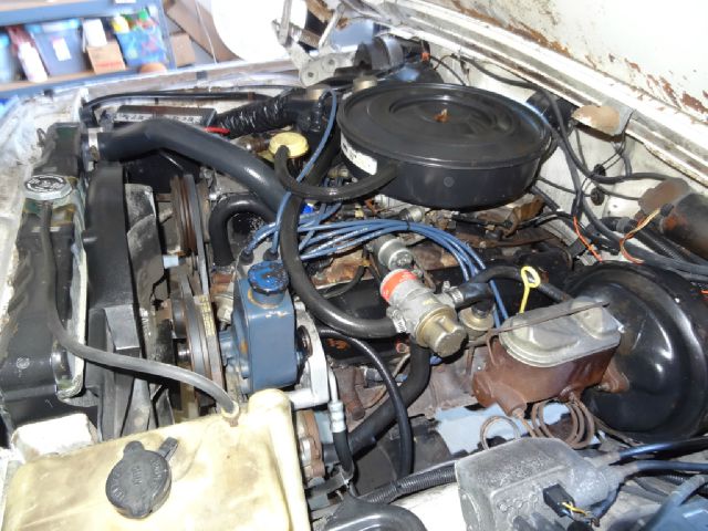 1980 Jeep Wagoneer Handicap