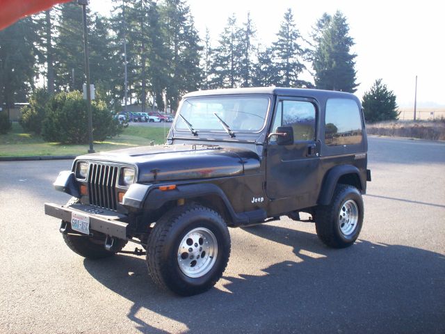 1989 Jeep Wrangler Frost