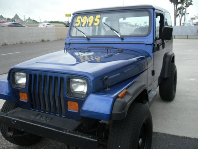 1991 Jeep Wrangler Frost