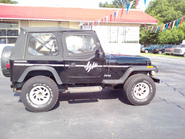 1991 Jeep Wrangler Frost