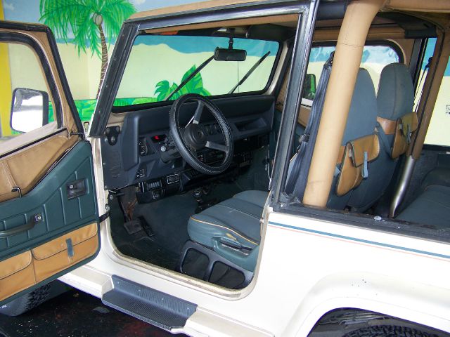 1994 Jeep Wrangler 3.5 SE