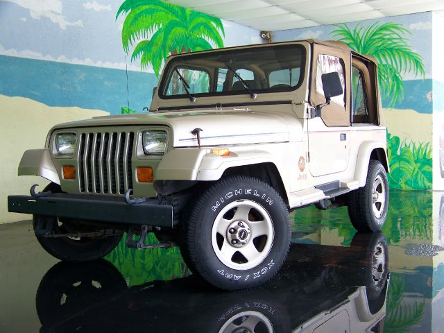 1994 Jeep Wrangler 3.5 SE