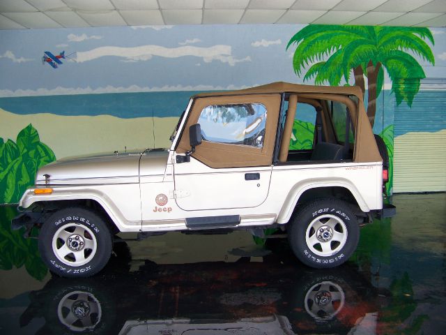 1994 Jeep Wrangler 3.5 SE