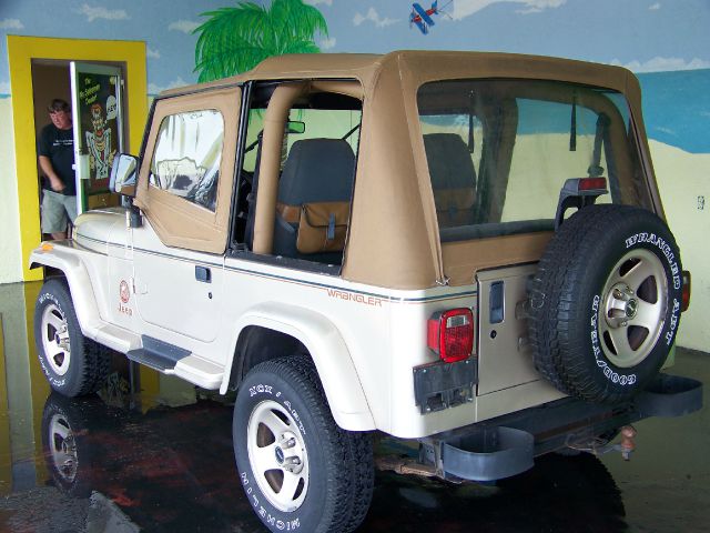 1994 Jeep Wrangler 3.5 SE