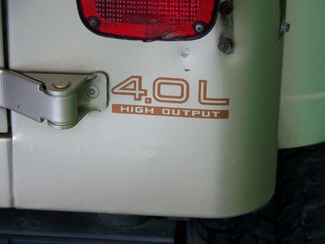 1994 Jeep Wrangler 3.5 SE