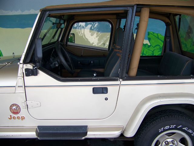 1994 Jeep Wrangler 3.5 SE