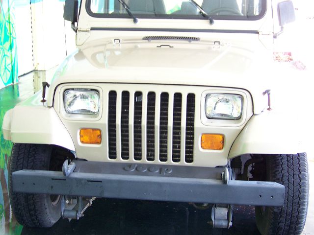 1994 Jeep Wrangler 3.5 SE