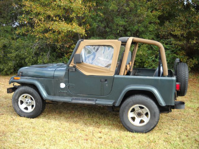1994 Jeep Wrangler 3.5 SE