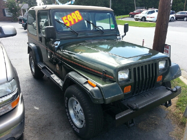 1995 Jeep Wrangler 3.5 SE