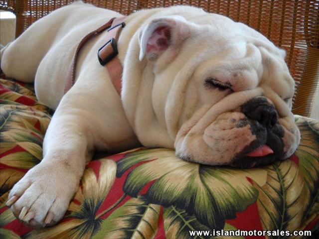 2002 Jeep Wrangler Unlimited SW2