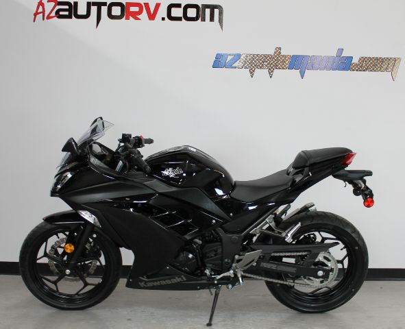 2013 Kawasaki NINJA 300 Unknown