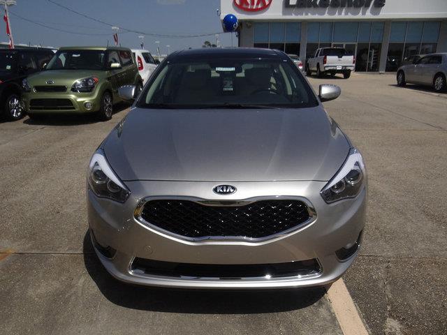 2014 Kia Cadenza Unknown