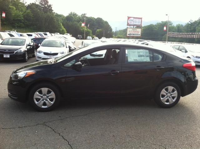 2014 Kia Forte Elk Conversion Van